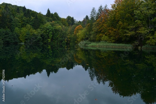 A lake in Plitvice national park
