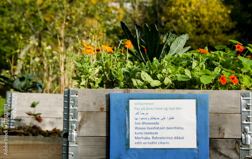 Multicultural urban garden in town with sign in 8 languages photo