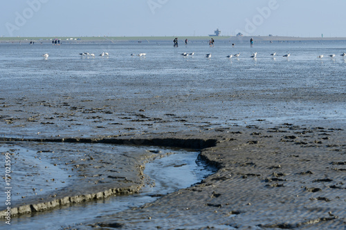 Büsum Watt 1 photo