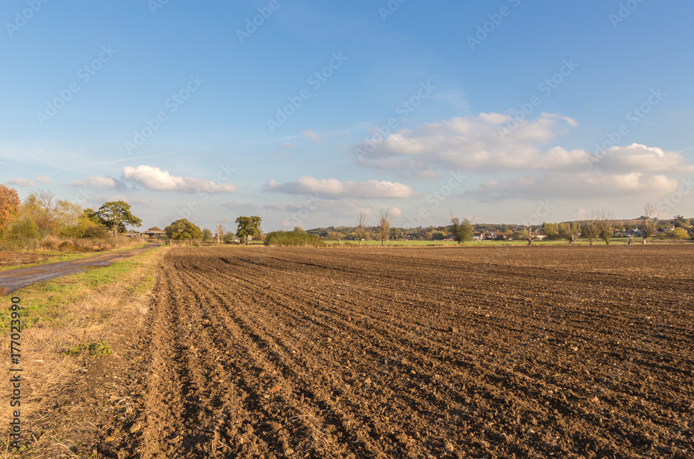 Newly ploughed field in Essex countryside behind the village of Abridge. Taken on a bright sunny blue sky day with a few clouds. 