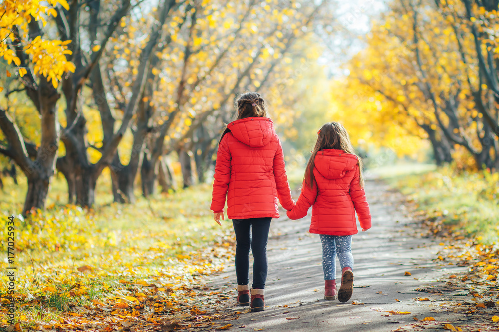 two sisters are walking together in an autumn park. Two girls holding hands walking outdoors in autumn two sisters are walking together in an autumn park. Two girls holding hands walking outdoors in autumn