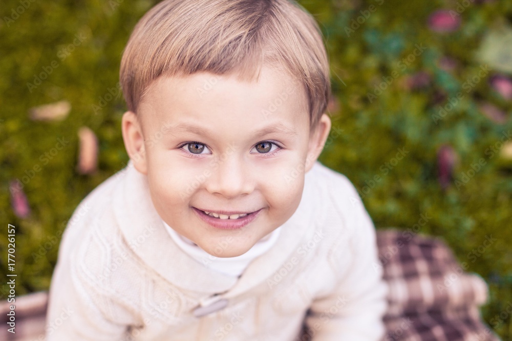 A cute little boy of 3 years walks in the autumn park. Warm autumn. Red leaves. A boy in a knitted jumper.Littel boy. A cute little boy of 3 years walks in the autumn park. Warm autumn. Red leaves. A boy in a knitted jumper.Littel boy.