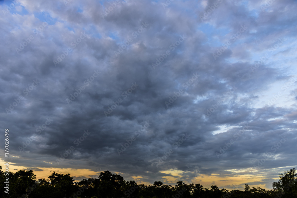 Cloudy sky group with condensation and forest in evening before sunset and raining. Cloudy sky group with condensation and forest in evening before sunset and raining.