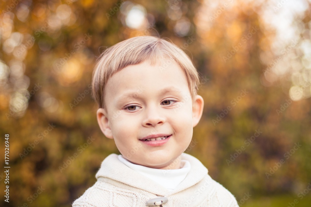 A cute little boy of 3 years walks in the autumn park. Warm autumn. Red leaves. A boy in a knitted jumper.Littel boy. A cute little boy of 3 years walks in the autumn park. Warm autumn. Red leaves. A boy in a knitted jumper.Littel boy.