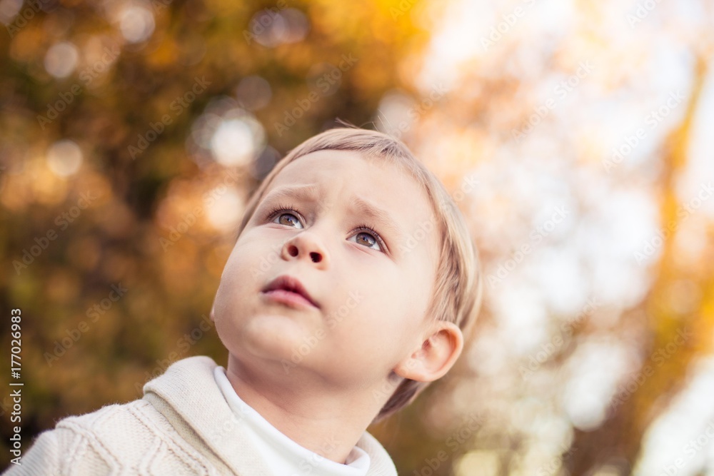 A cute little boy of 3 years walks in the autumn park. Warm autumn. Red leaves. A boy in a knitted jumper.Littel boy. A cute little boy of 3 years walks in the autumn park. Warm autumn. Red leaves. A boy in a knitted jumper.Littel boy.