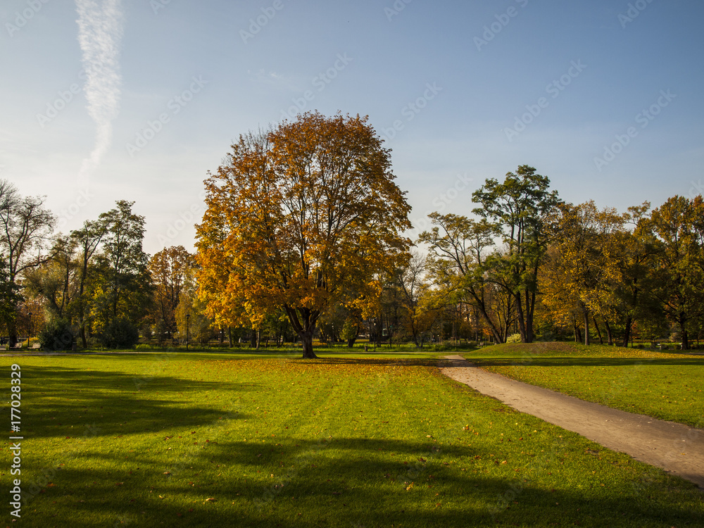park