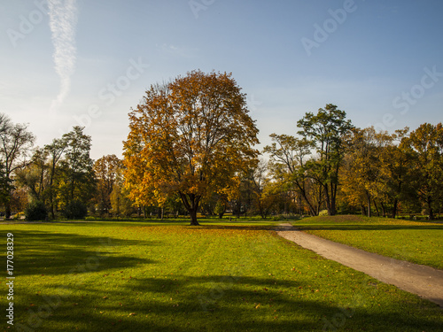 Obraz na płótnie park w salonie