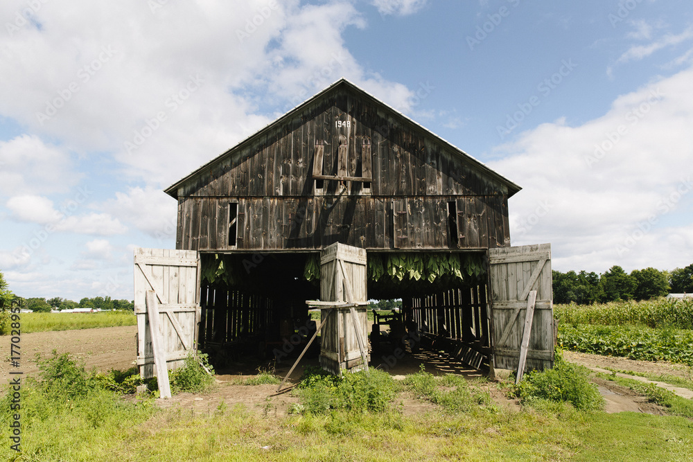 Tobacco Barn