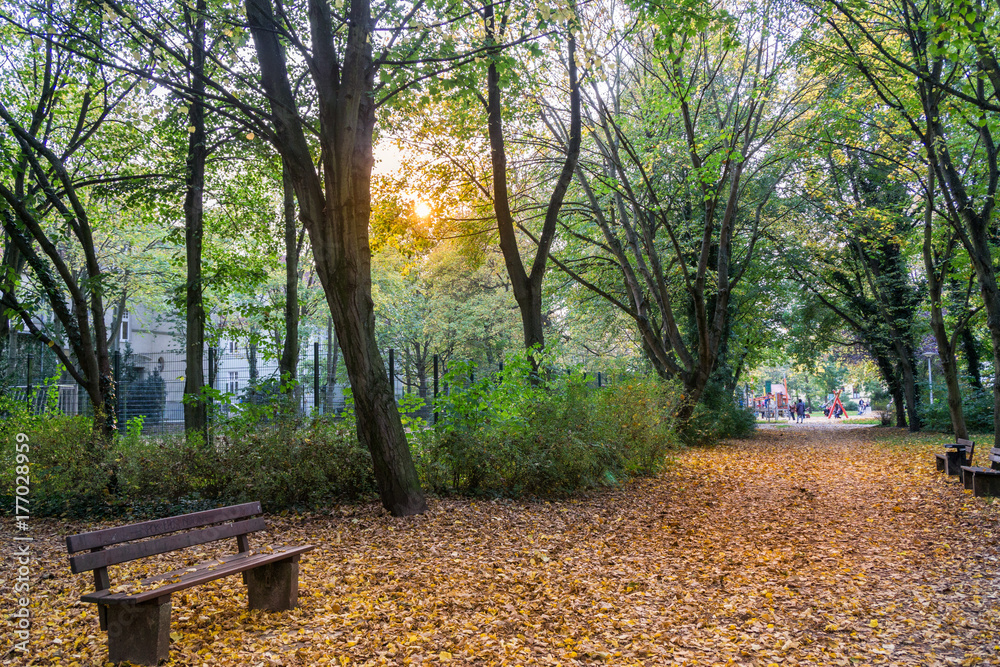 Stadtpark im Herbst / buntes Laub auf der Erde Stadtpark im Herbst / buntes Laub auf der Erde