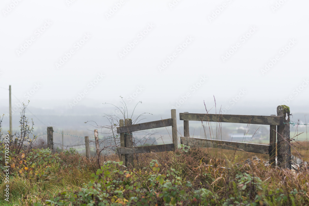 Gate in the mist