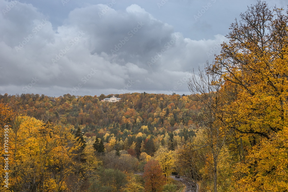 Red and yellow trees in autumn in Sigulda