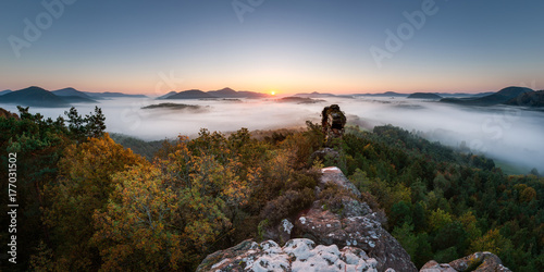 Nebelmorgen im Pfälzer Wald