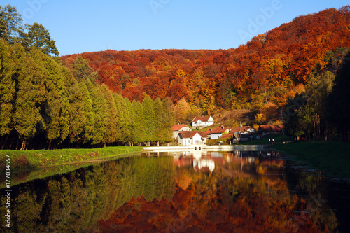 Pond in botanical colorful autumn park in background of forest