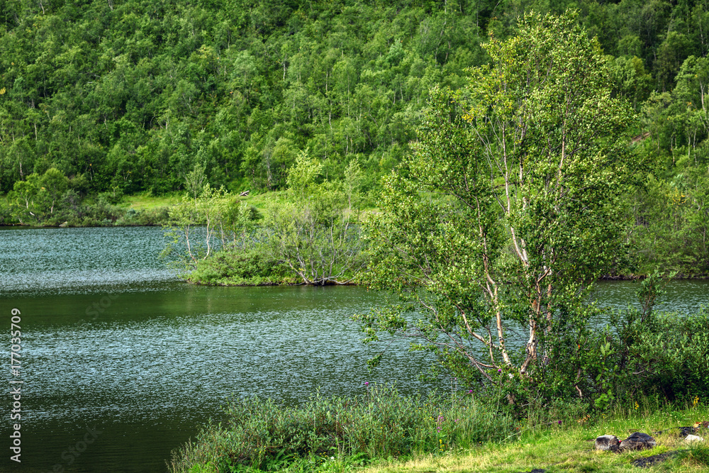 Beautiful view of the forest lake Beautiful view of the forest lake
