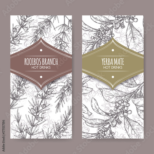 Set of two labels with Rooibos aka Aspalathus linearis and Yerba mate aka Ilex paraguariensis branches.