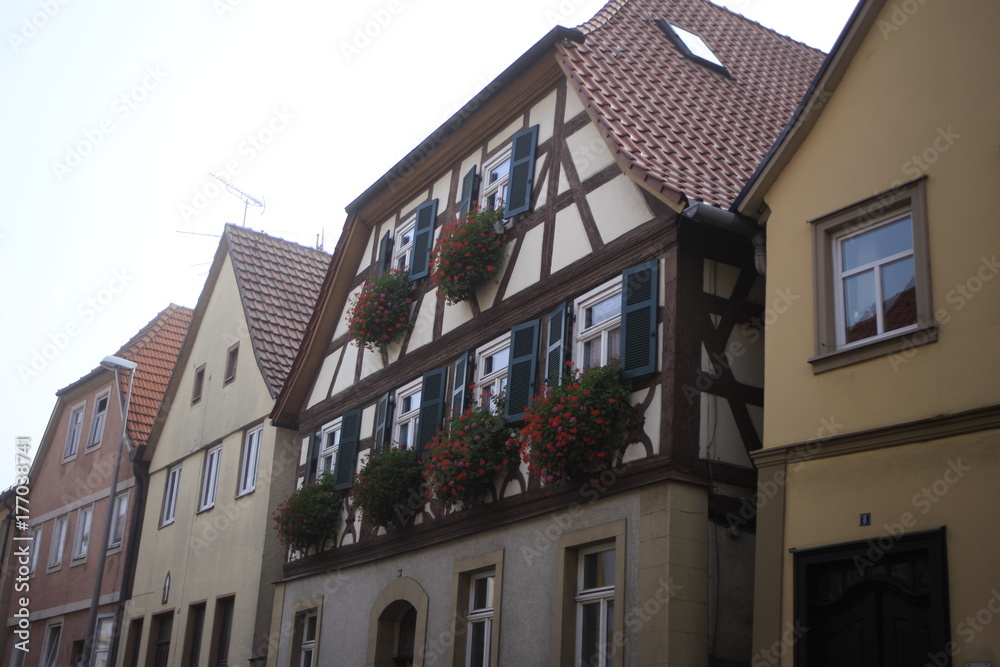 Obraz premium Beautiful house