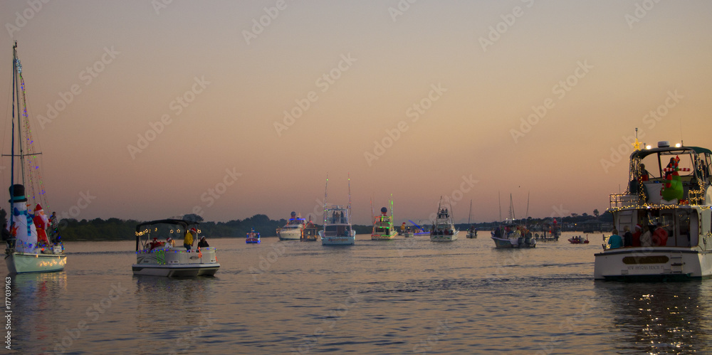 Fototapeta premium Florida Christmas