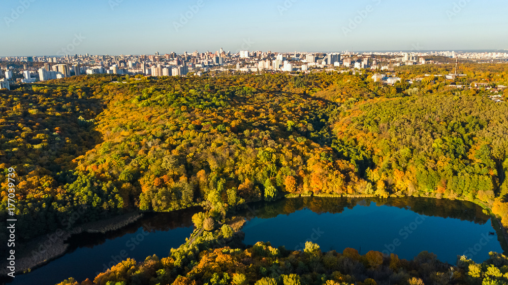 Golden autumn background, aerial view of forest with yellow trees and lake landscape from above, Kyiv city skyline, Ukraine
