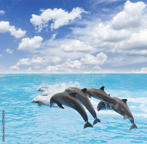 pack of jumping dolphins, beautiful seascape with deep ocean waters and cloudscape