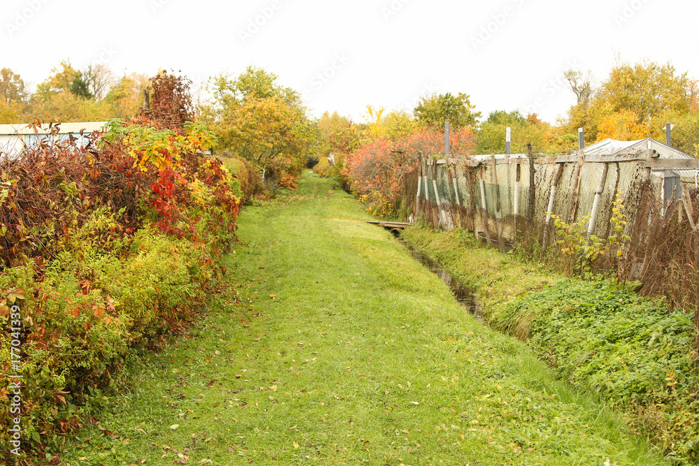 Naklejka premium Small road through gardens.