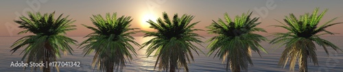 The palms. A row of palm trees at sunset in the sea. 3D rendering