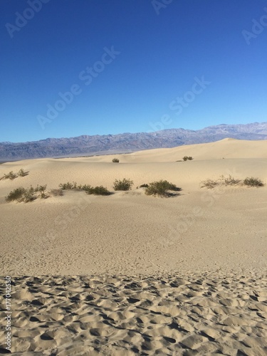 Death Valley Sand Dunes 
