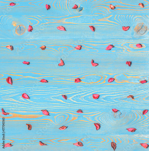 Dried red flower petals arranged in a row on a blue wooden background as a background, backdrop