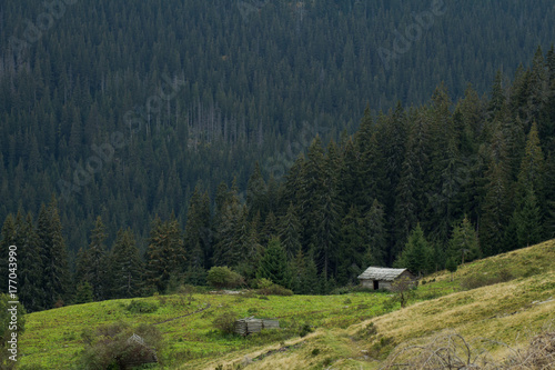 carpathian mountaines autumn landscape, forest and hills background 
