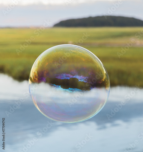 Bubble Floating over Marsh photo