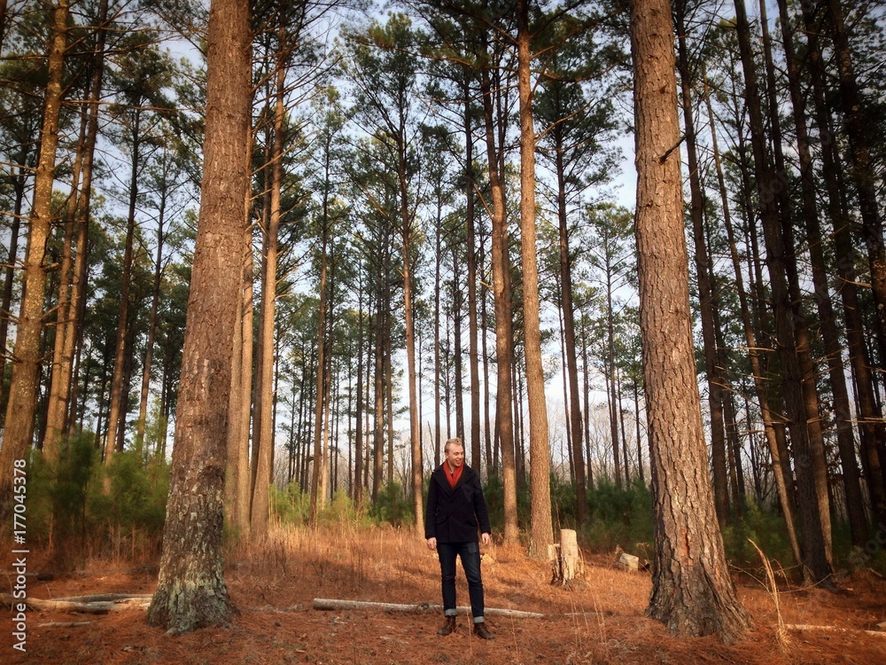 Man Laughing in the Woods Man Laughing in the Woods