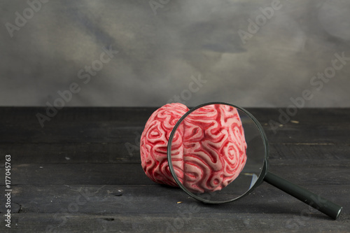 Fototapeta Naklejka Na Ścianę i Meble -  Magnifying glass , Brain Mental Health Concept