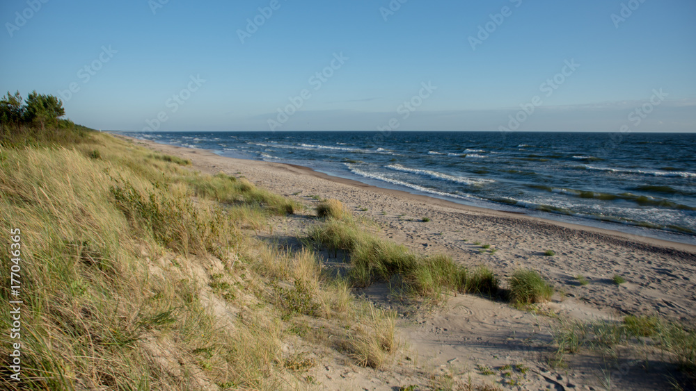 baltic dune