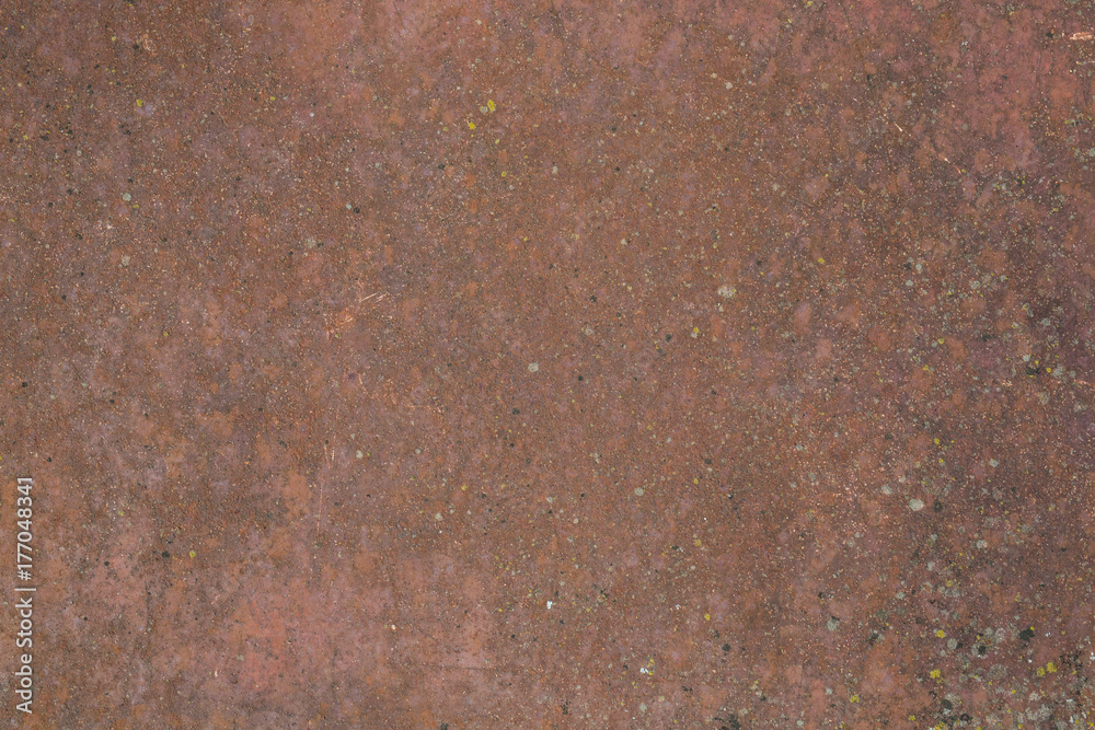 Cement curb wall texture Cement curb wall texture