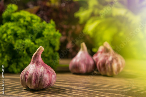 Garlic bulbs with garlic cloves with green salad on the background. Fresh vegetables. Delicious vegetarian food. Salad.