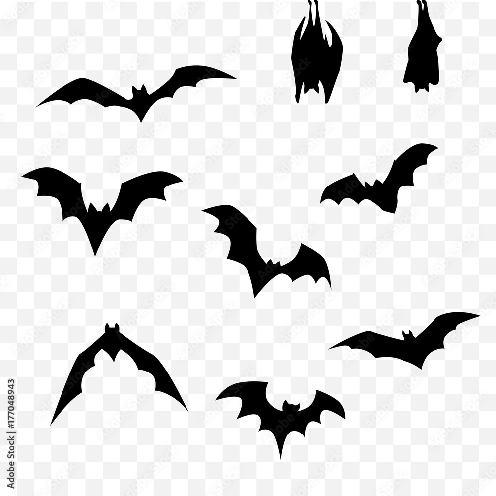 halloween bat set