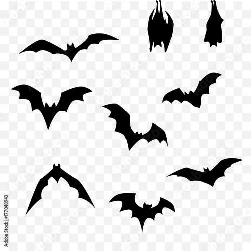 Fotótapéta halloween bat set