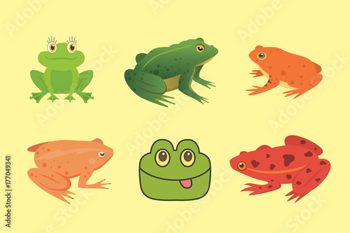 PrintExotic amphibian set. Frogs in different styles Cartoon Vector Illustration isolated. tropical animals