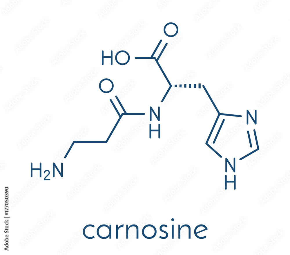 Carnosine molecule. Has antioxidant properties; commonly used in food supplements. Skeletal formula. Carnosine molecule. Has antioxidant properties; commonly used in food supplements. Skeletal formula.