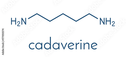 Cadaverine foul smelling molecule. Skeletal formula.