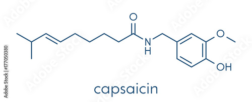 Capsaicin chili pepper molecule. Used in food, drugs, pepper spray, etc.  Skeletal formula. photo