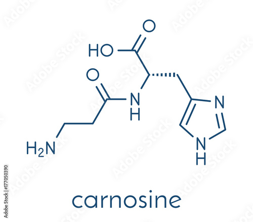 Carnosine molecule. Has antioxidant properties; commonly used in food supplements. Skeletal formula.