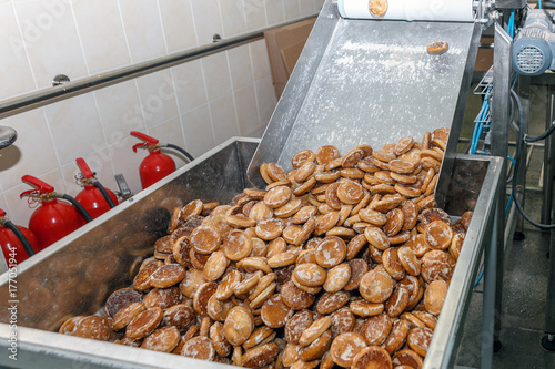 roduction of gingerbread on the bakery conveyor photo