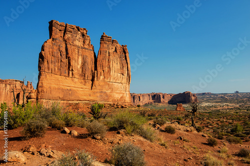 Arches National Park: The Organ (huge sandstone fin formation with copy space on blue sky)