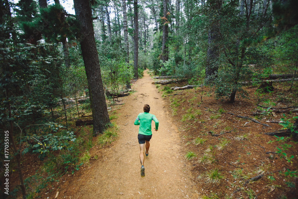 Fit active man running a trail through a forest Fit active man running a trail through a forest
