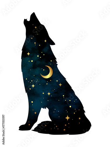 Fototapeta Sylwetka wilk z półksiężycem księżyc i gwiazdami odizolowywającymi. Ilustracja wektorowa projekt naklejki, druk lub tatuaż. Pagan totem, wiccańska duchowa sztuka