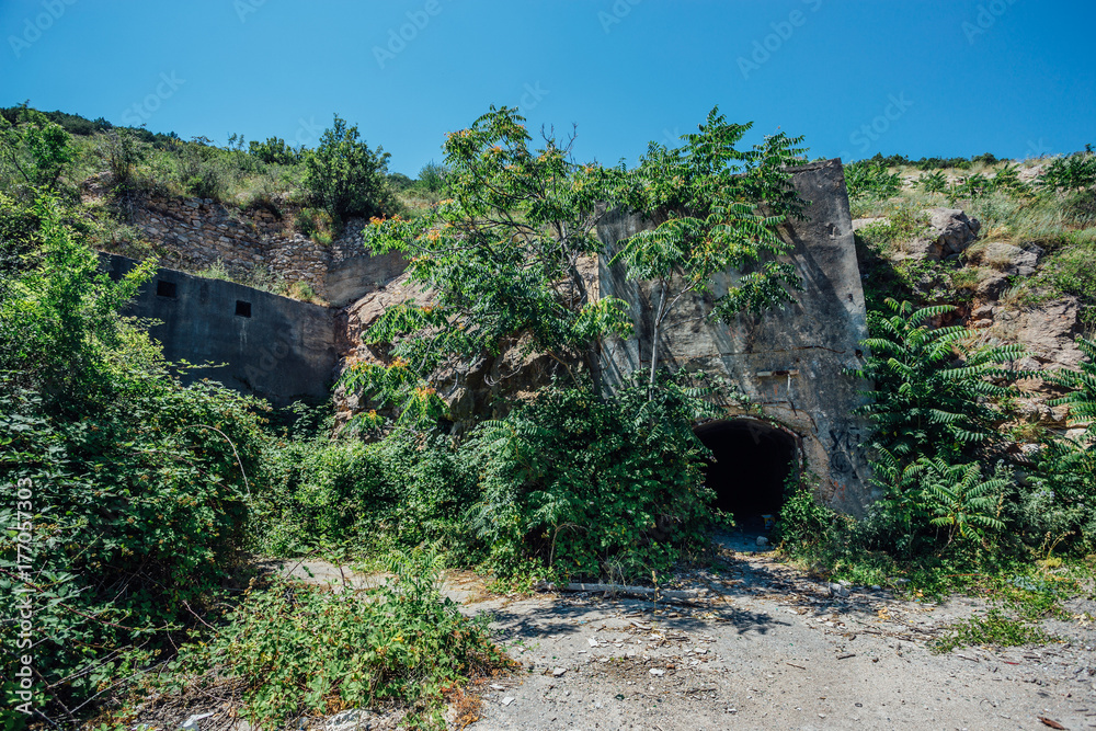 Abandoned and overgrown entrance to underground construction