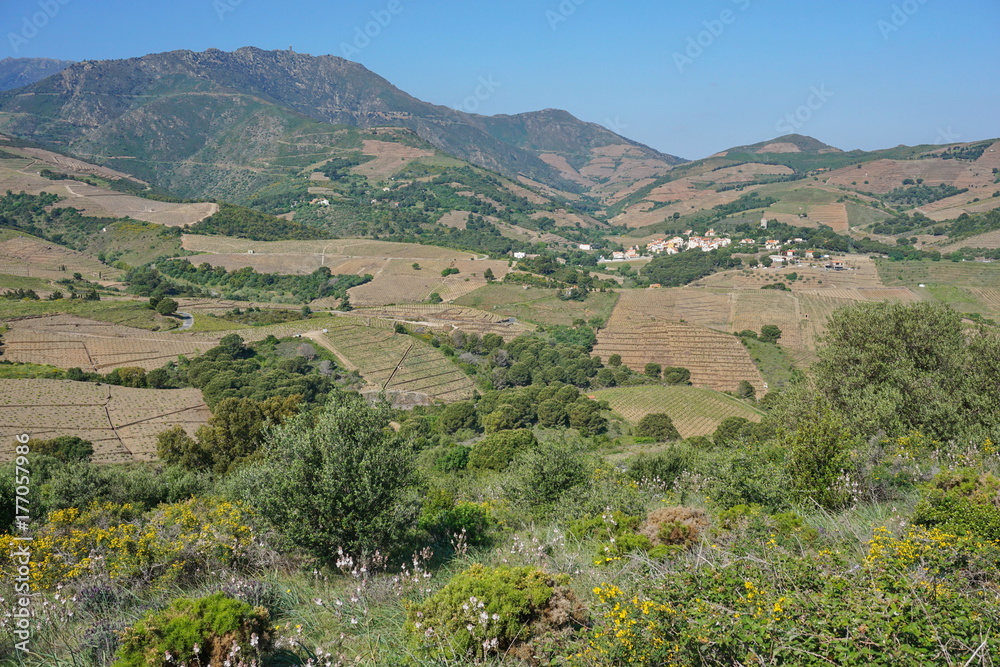 France Mediterranean landscape with vineyards fields and the village of Cosprons at the bottom of the Albera Massif, Languedoc Roussillon, Pyrenees Orientales