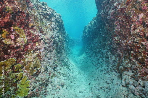 Underwater trench into the outer reef due to natural erosion, Huahine island, south Pacific ocean, French Polynesia, Oceania