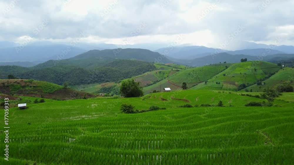 Aerial view from a drone while flying over the terraced rice field in Pa Pong Pieng, Chiangmai, Thailand
Aerial view from a drone while flying over the terraced rice field in Pa Pong Pieng, Chiangmai, Thailand