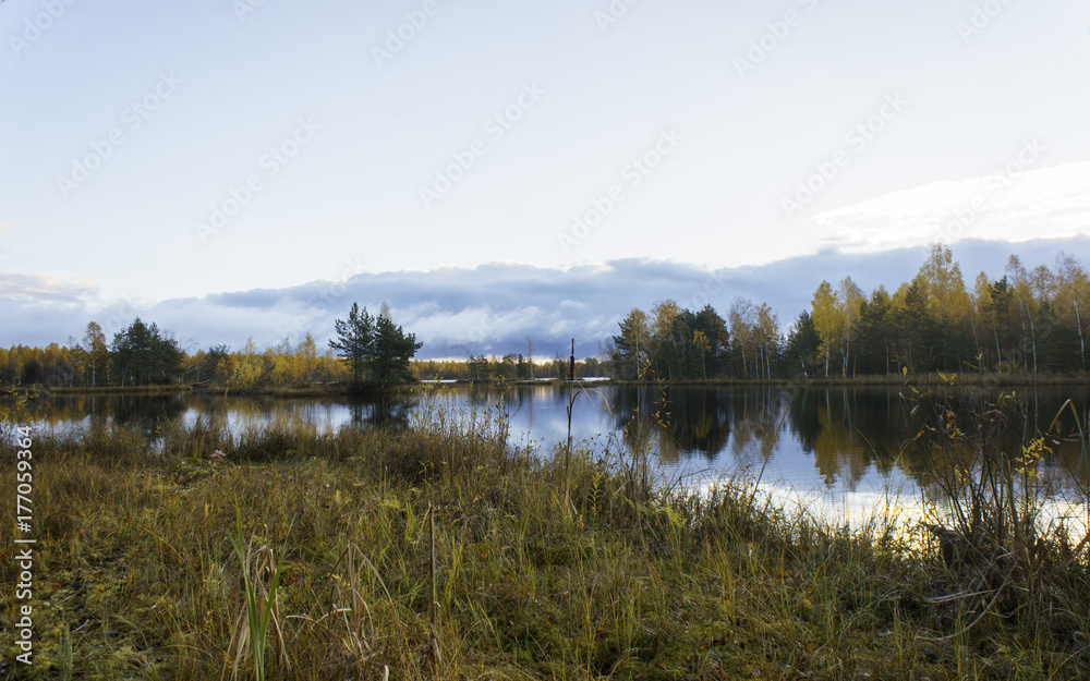 Forest lake autumn